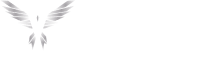 Logo for Silver Falcon Computer Trading LLC. Features a stylized silver falcon with wings spread wide on the left. The company name "SILVER FALCON" is in bold white text to the right, with "Computer Trading LLC" in smaller white text below it. Footer designed using Elementor #292 is included.