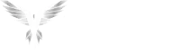 Logo for Silver Falcon Computer Trading LLC. Features a stylized silver falcon with wings spread wide on the left. The company name "SILVER FALCON" is in bold white text to the right, with "Computer Trading LLC" in smaller white text below it. Footer designed using Elementor #292 is included.